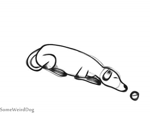 480x360 Sleeping Dog Someweirddog - Sleeping Dog Sketch