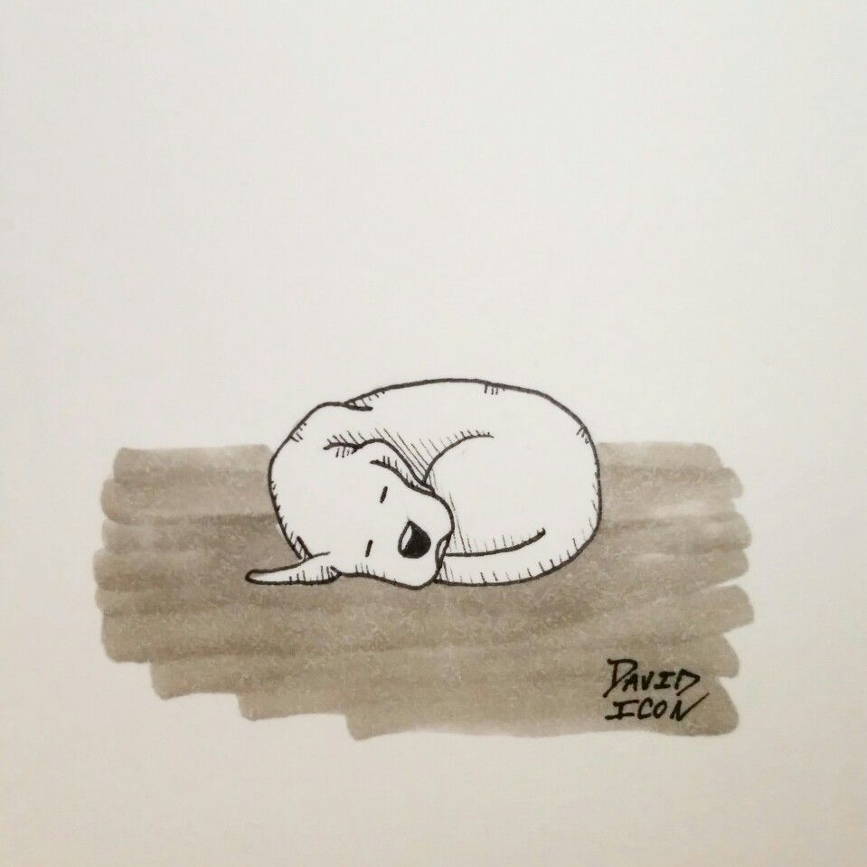 959x959 Sleeping Dog Cartoon Sketch. Cartoon Art Cartoon - Sleeping Dog Sketch