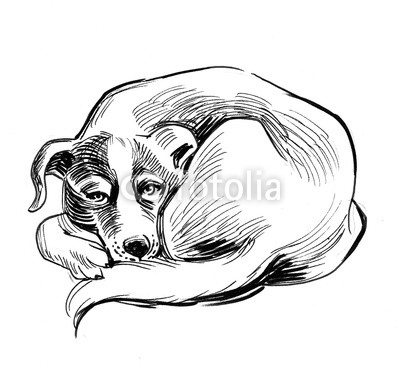 400x373 Sleeping Dog. Ink Black And White Sketch Buy Photos Ap Images - Sleeping Dog Sketch