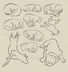 219x230 The 34 Best Tattoo Images Dog Drawing Simple - Sleeping Dog Sketch