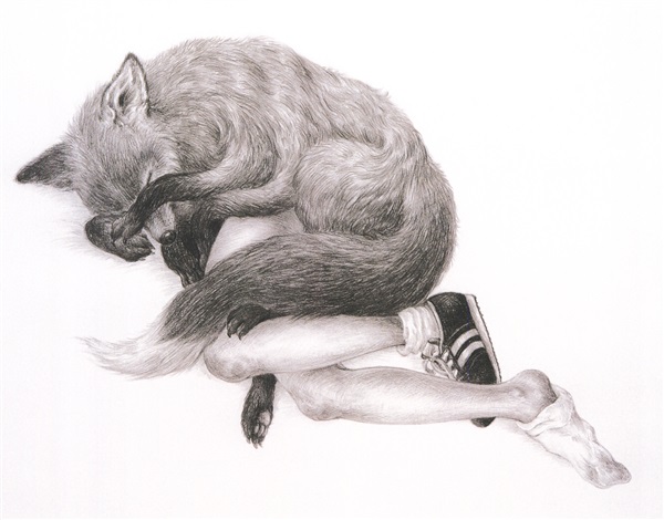 600x470 In The Place Where The Woman Was Sleeping, A Fox Was Lying Down - Sleeping Fox Sketch