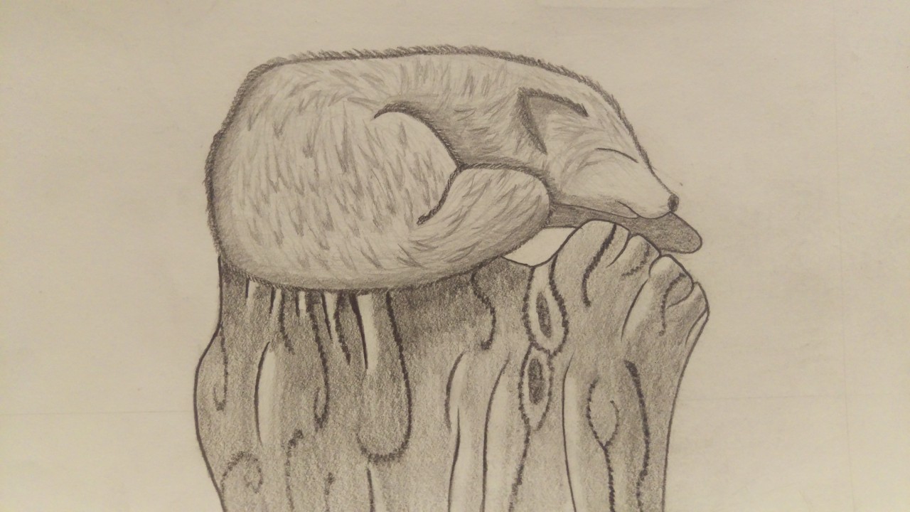 1280x720 Sketch - Sleeping Fox Sketch