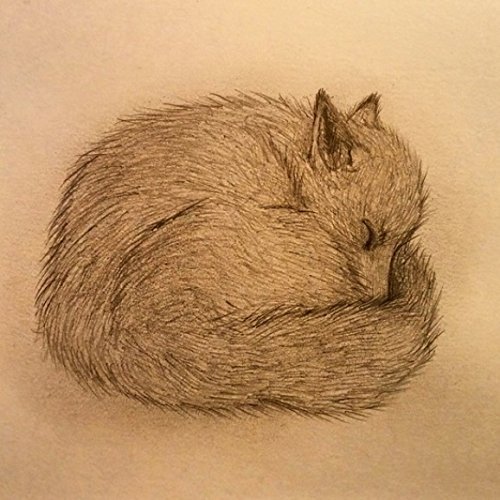 500x500 Sleeping Fox Art Print Amazon.co.uk Handmade - Sleeping Fox Sketch