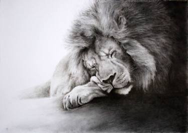 375x266 Sleeping Lion Paintings For Sale Saatchi Art - Sleeping Lion Sketch