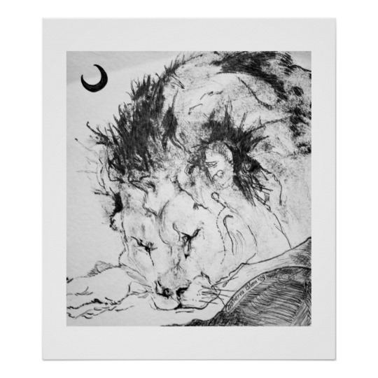 540x540 Sleeping Lion Poster - Sleeping Lion Sketch