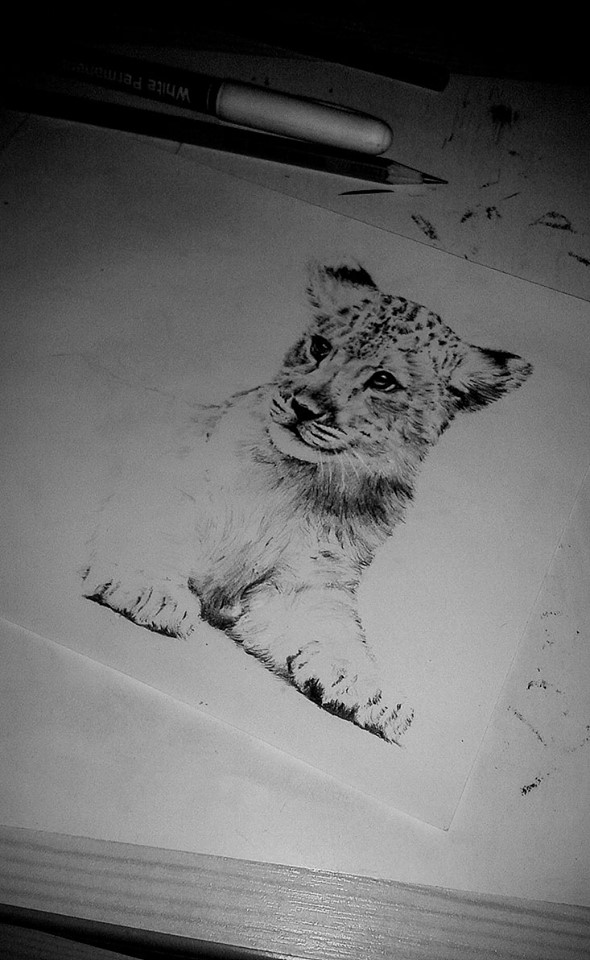 590x960 Sleeping Lion Cub By Kristynagl - Sleeping Lion Sketch