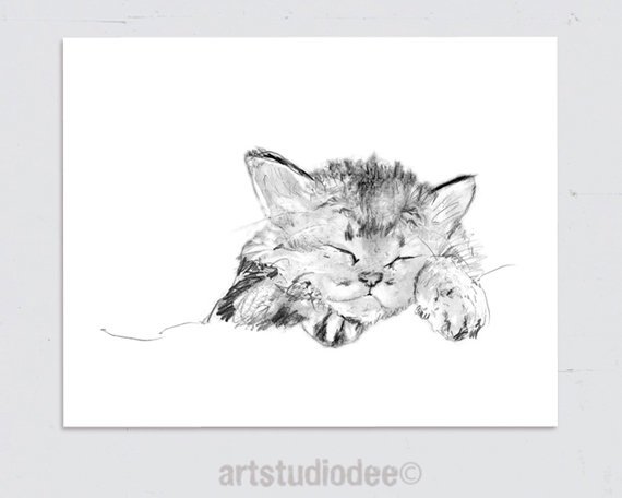 570x456 Kitten Art Print Kitten Sleeping Sketch 8x10 Or A4 Size. Etsy - Sleeping Sketch