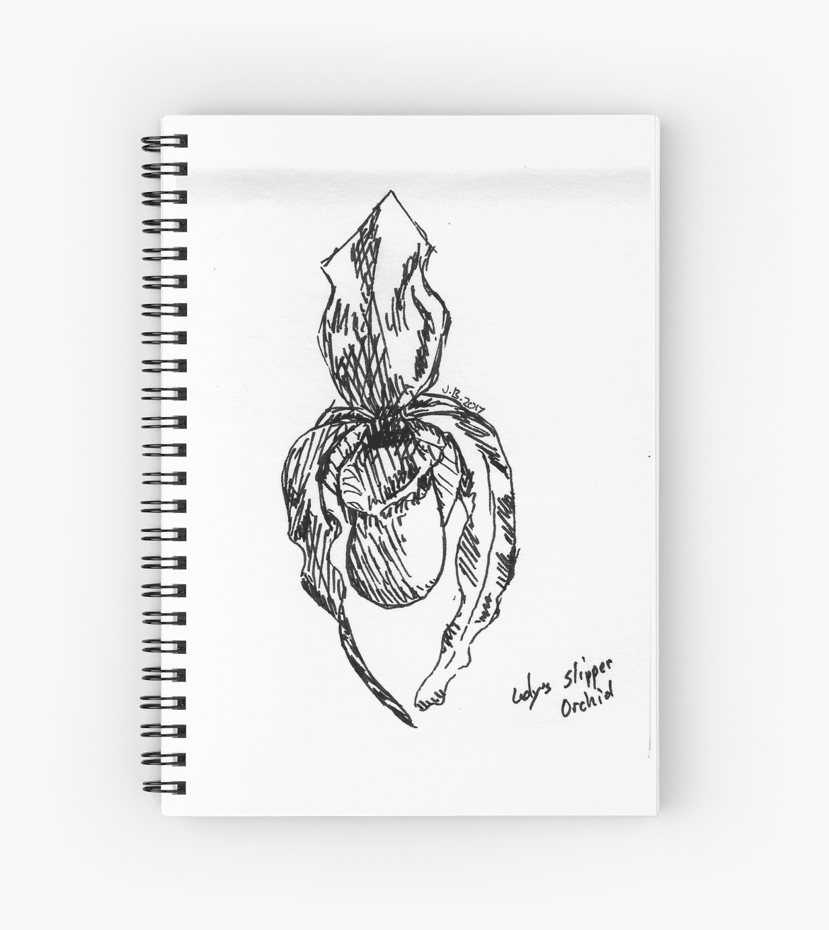 1171x1313 Orchid Sketch Spiral Notebooks By Juliadream Redbubble - Slipper Sketch