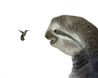 340x270 Sloth Drawing Etsy - Sloth Sketch