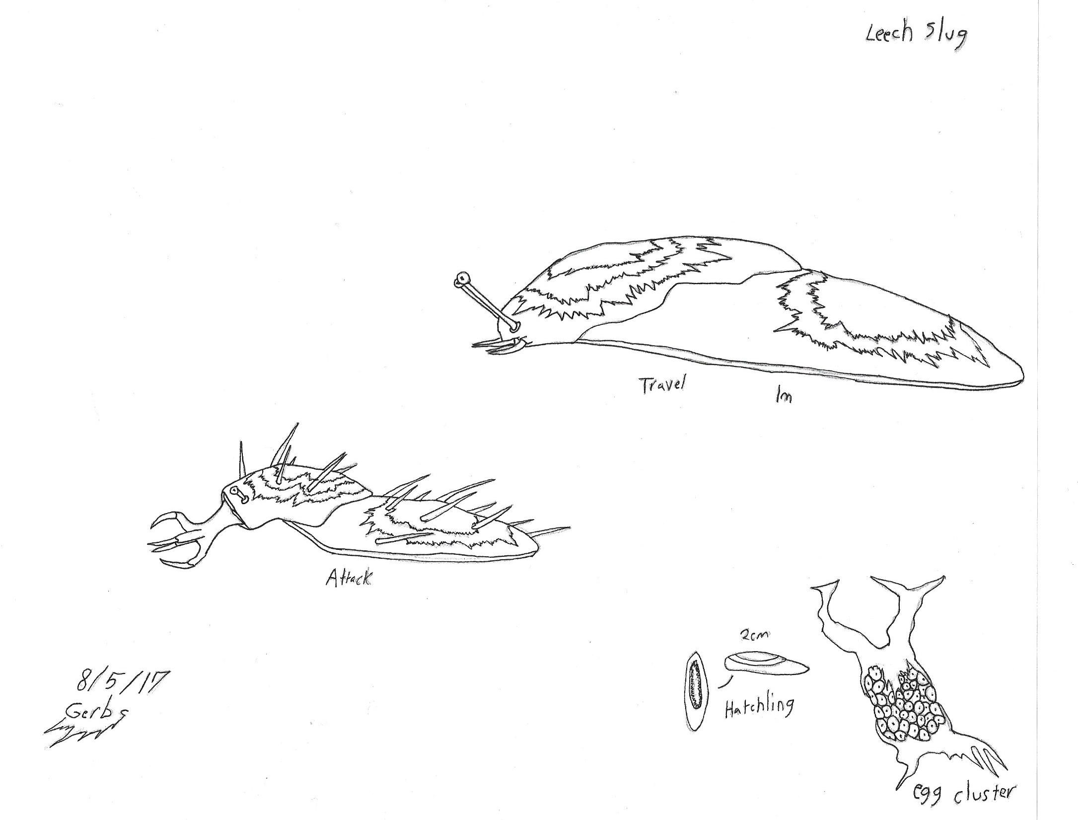 2171x1651 Leech Slug Chronicles Of Skallria Sketches Sketches - Slug Sketch