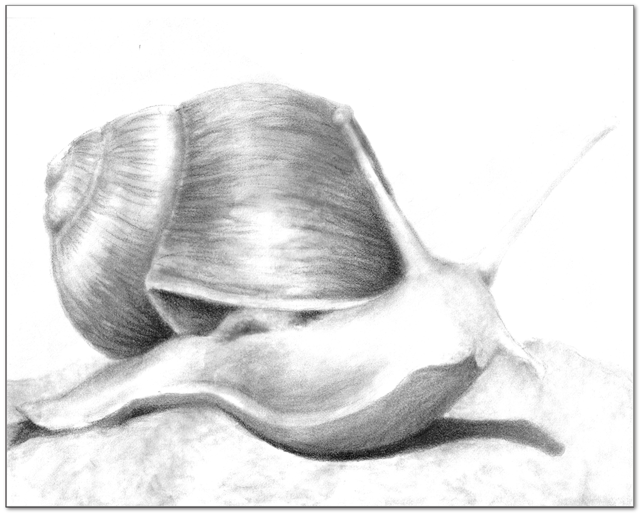 1283x1029 Pyreaus - Slug Sketch