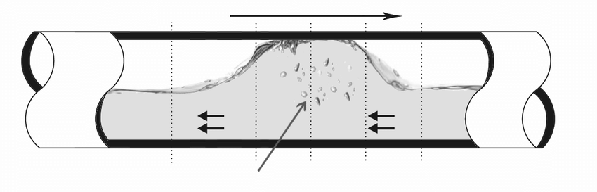 850x273 Sketch Of A Slug. Download Scientific Diagram - Slug Sketch