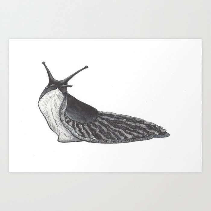 700x700 Slug - Slug Sketch