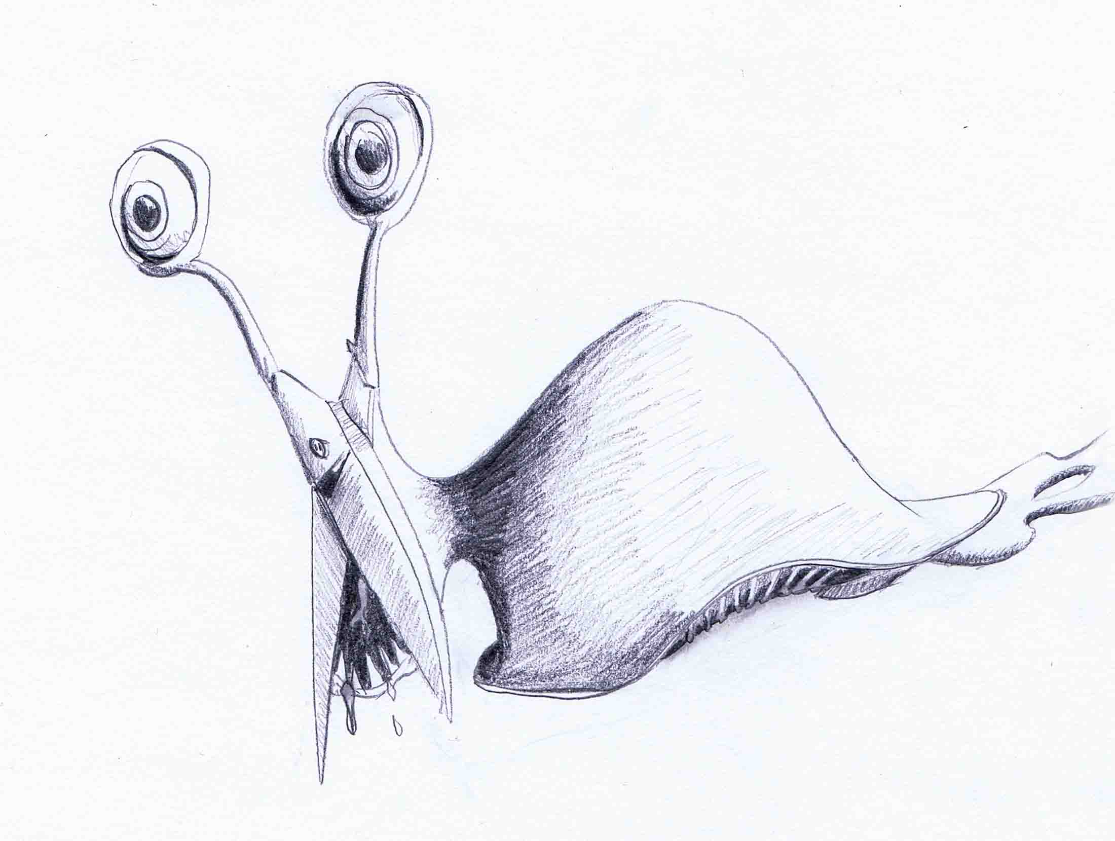 Slug Sketch at Explore collection of Slug Sketch