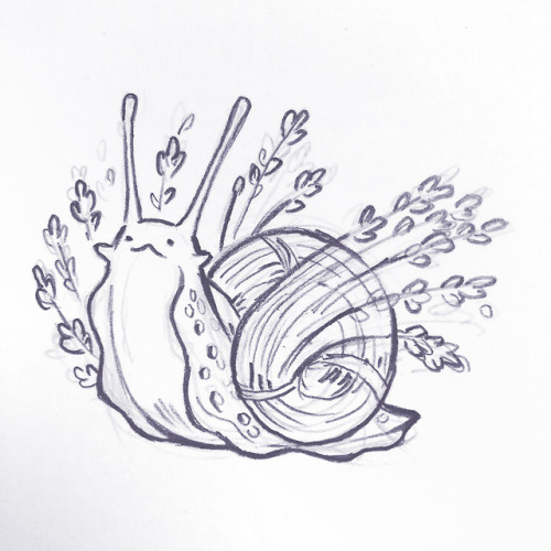 500x500 Snail Sketches Tumblr - Slug Sketch