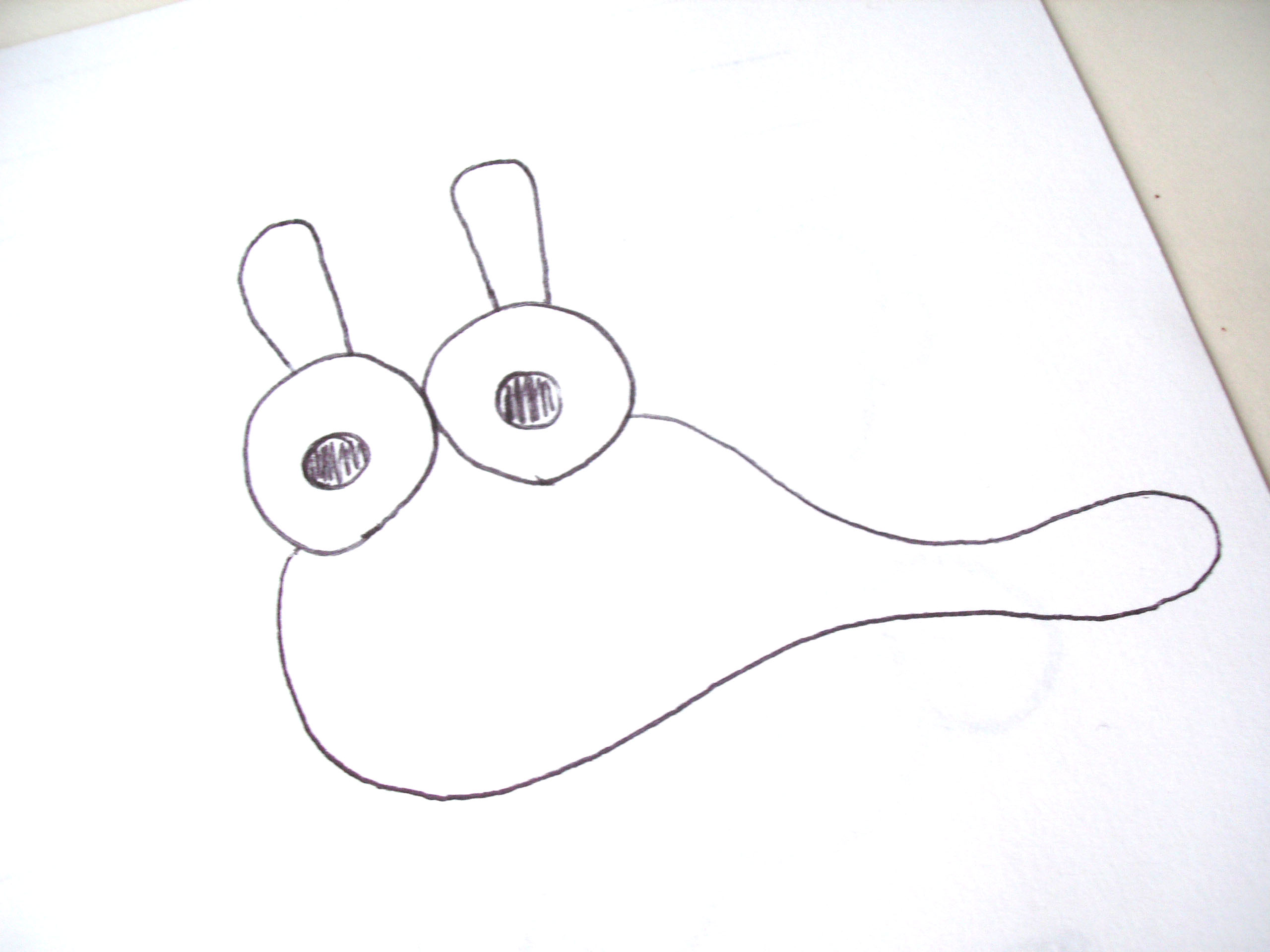 2560x1920 Designing A Banana Slug A Peek Into The Process Shiny Happy World - Slug Sketch