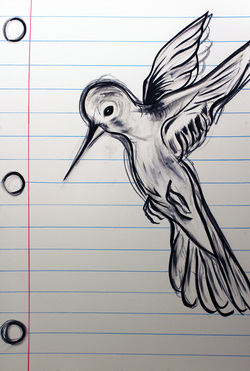 250x371 Gallery Burguieres Blog - Small Bird Sketch