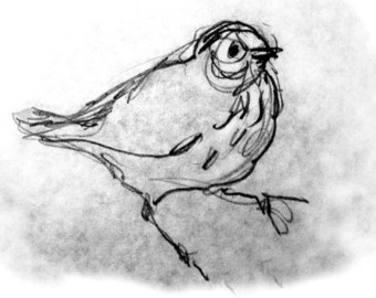 340x270 Little Bird Pencil Sketch Small Bird Print Sketchbook Etsy - Small Bird Sketch
