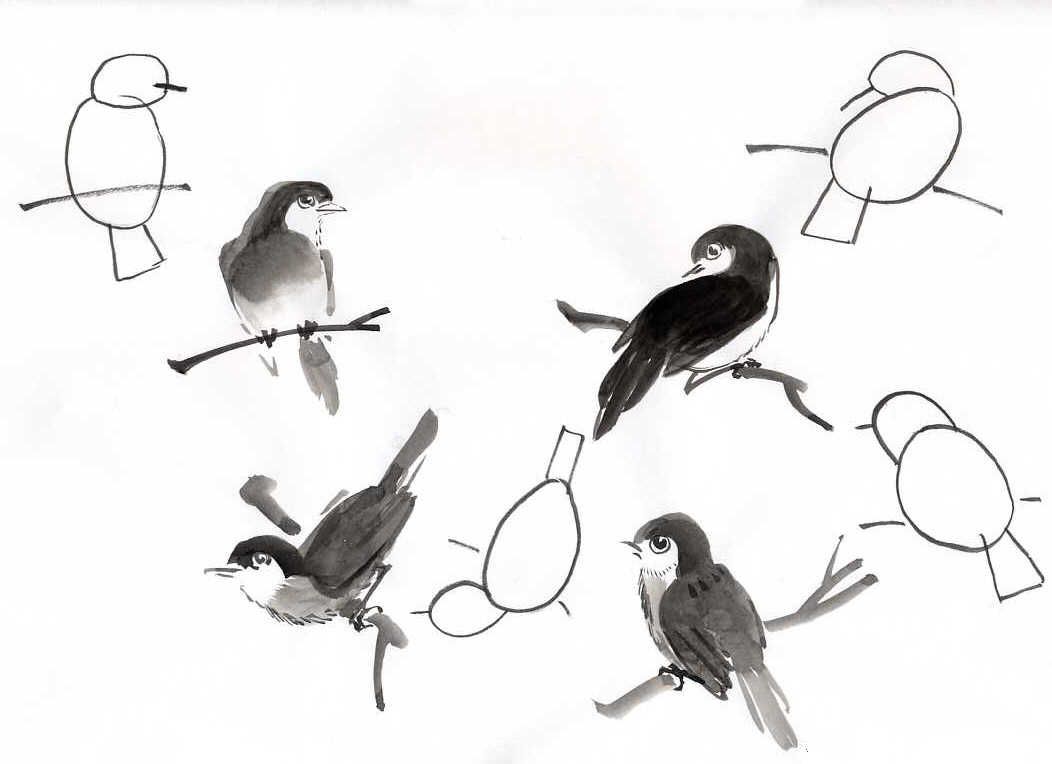 1052x764 Painting Small Birds - Small Bird Sketch
