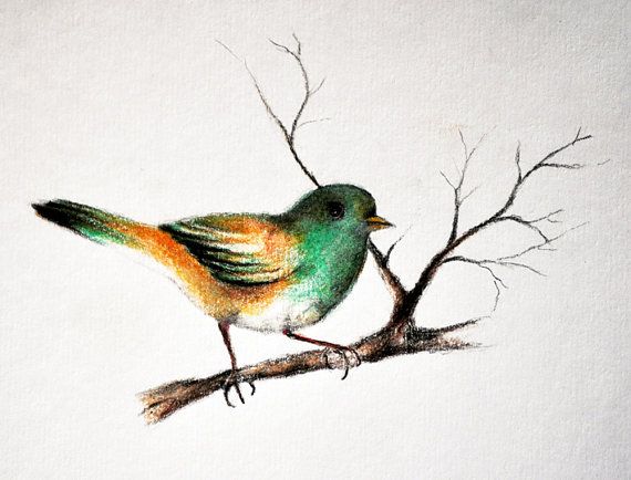 570x434 Small Bird 2 - Small Bird Sketch