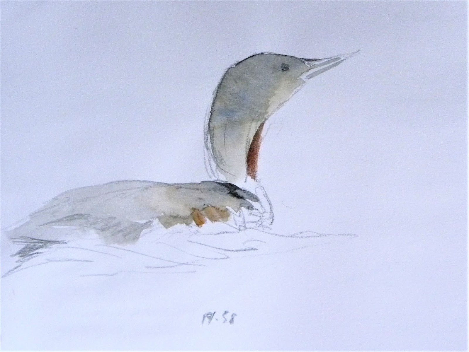 1600x1202 Tim Wootton Wildlife Art Drawing Amp Painting Birds And Landscape - Small Bird Sketch