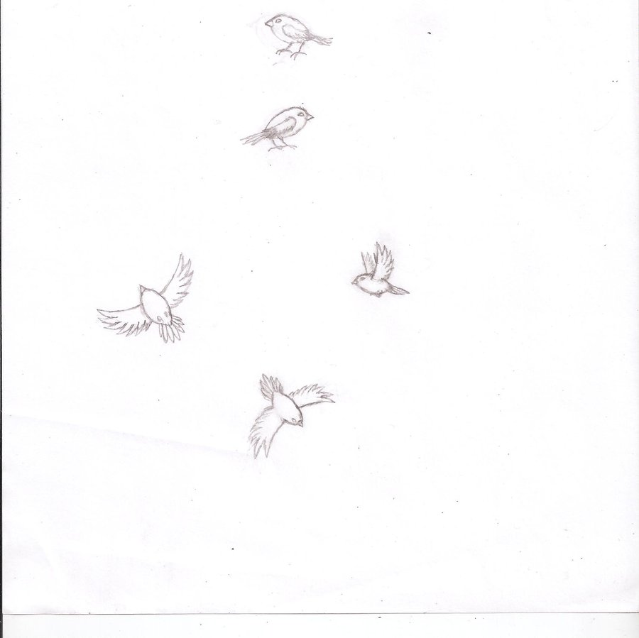 900x899 Egg Bird Sketches By Rhahsid - Small Bird Sketch