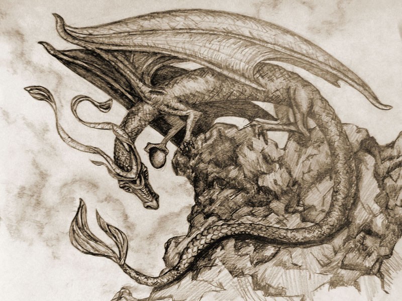 800x600 Dragon Sketch Jill Lorraine Turpin - Small Dragon Sketch