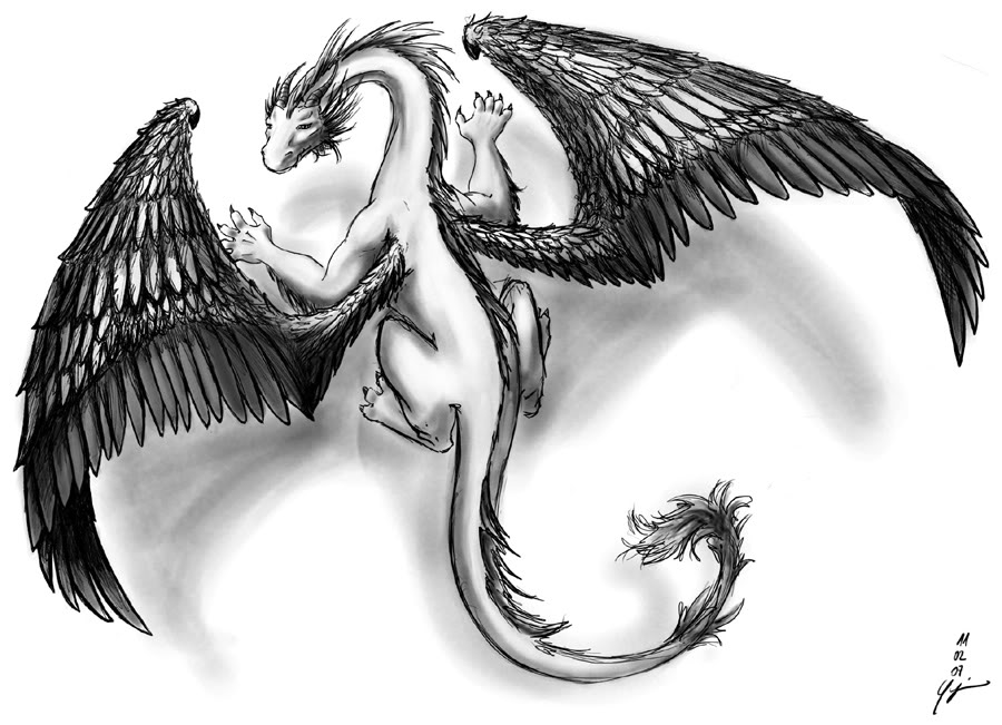 900x651 Image - Small Dragon Sketch