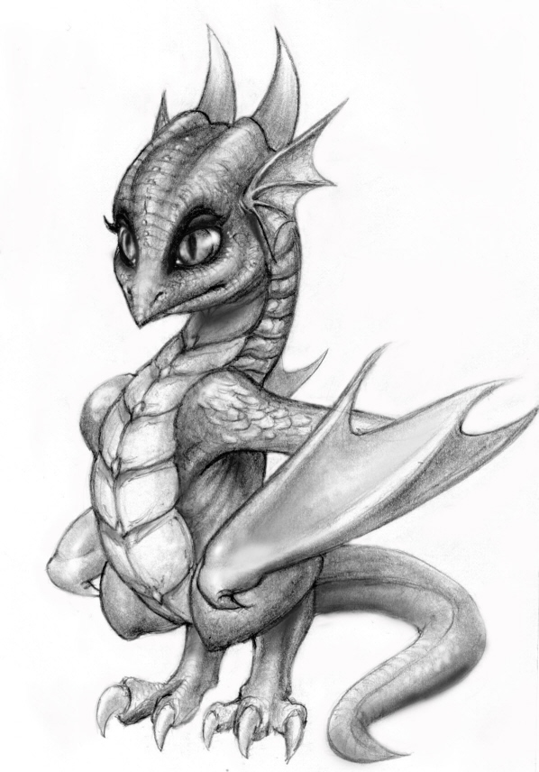 598x856 Small Dragon By Placeboy - Small Dragon Sketch