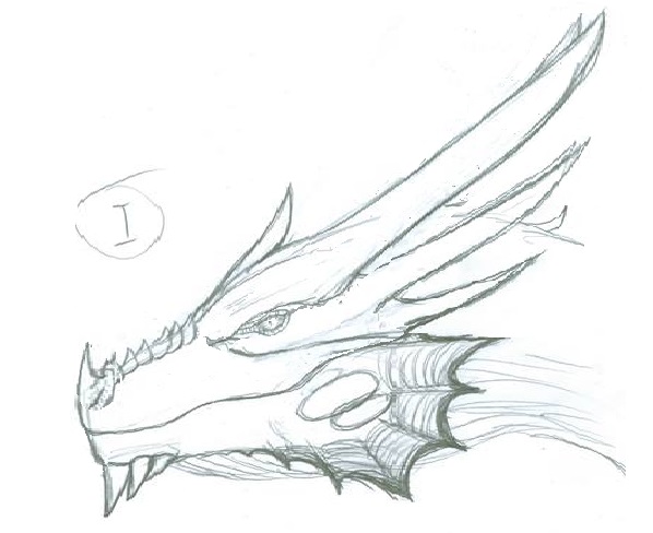 598x488 Zhyx Never Heroes - Small Dragon Sketch