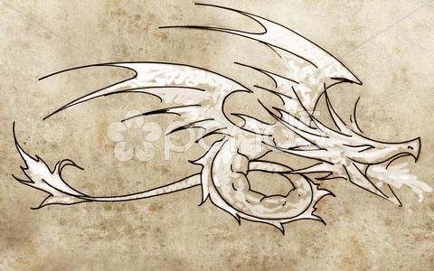 480x300 Sketch Of Tattoo Art, Dragon Line Drawing - Small Dragon Sketch