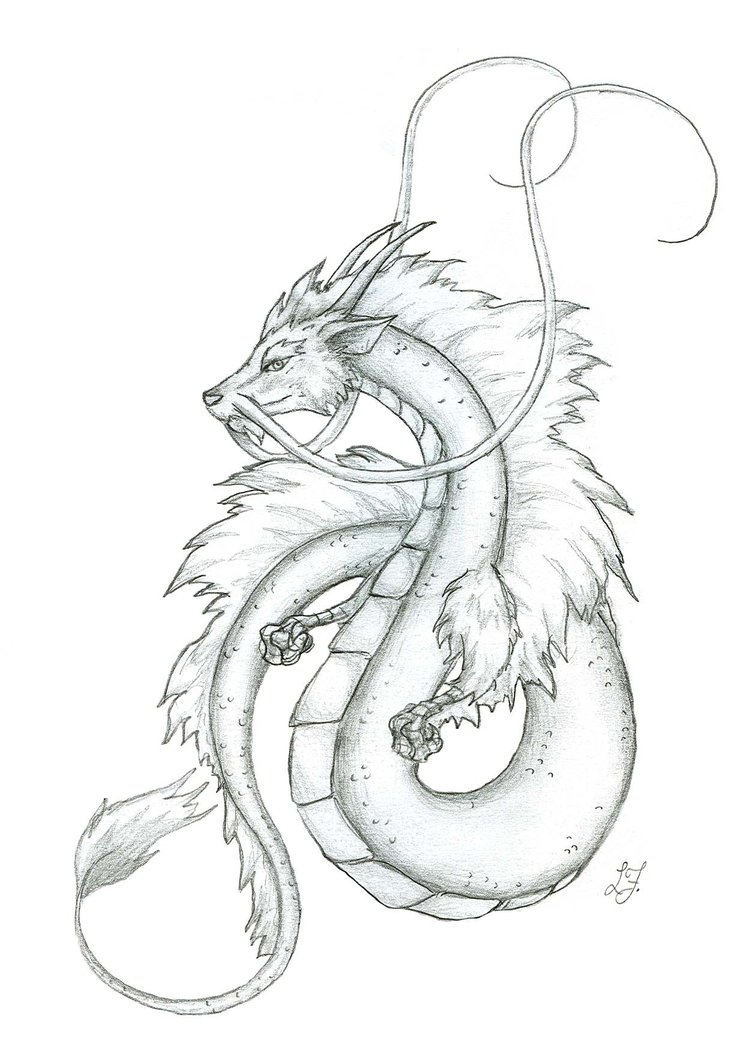 754x1059 Small Japanese Dragon By Lizzy23 - Small Dragon Sketch