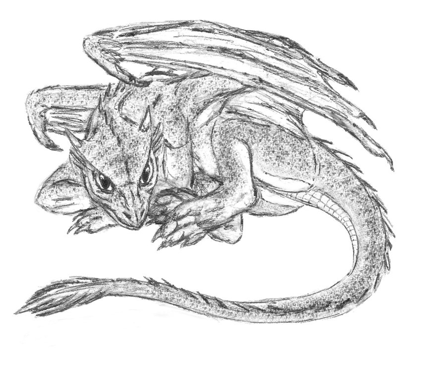 900x737 Small Dragon7b By S Ta S - Small Dragon Sketch