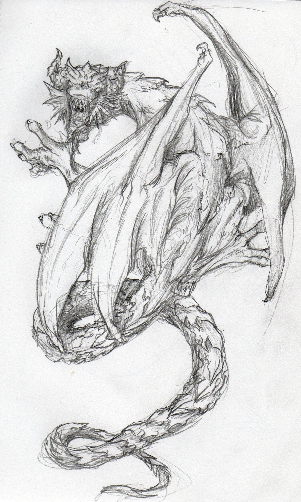 1199x2000 A Small Dragon Tattoo Commissioned By A Fellow Co Worker. I Do Say - Small Dragon Sketch