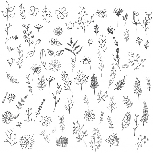 626x626 Flower Outline Vectors, Photos And Psd Files Free Download - Small Flower Sketch