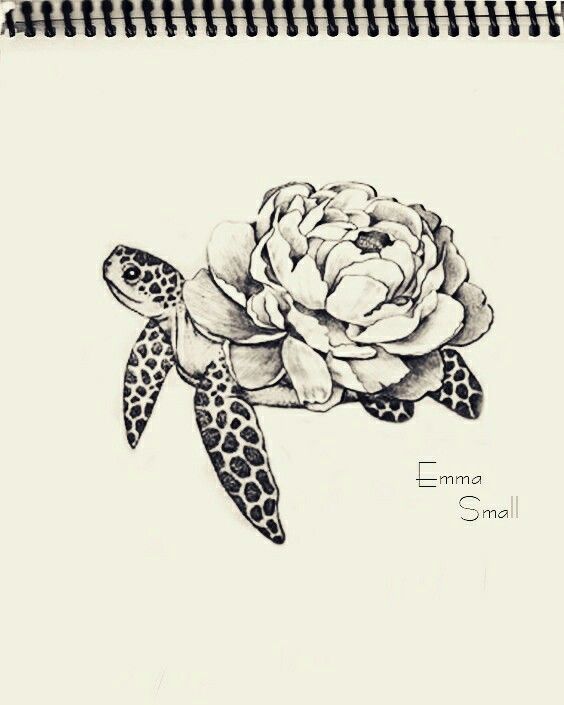 564x705 Tattoo, Sketch , Flowers ,turtle , By Emma Small - Small Tattoo Sketches