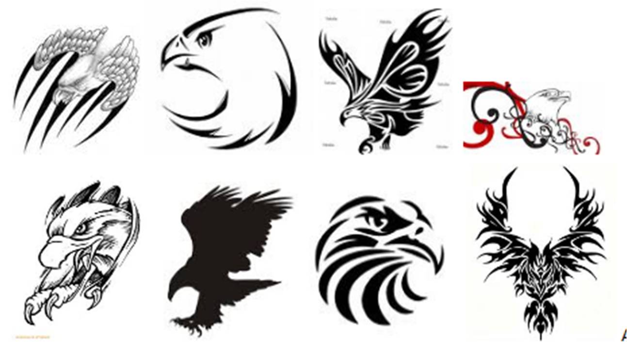 54+ Free Simple Eagle Tattoo Designs HD Tattoo Images