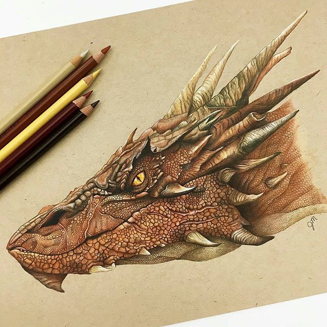 640x640 Intricate Dragon Pencil Drawing Drawing - Smaug Sketch