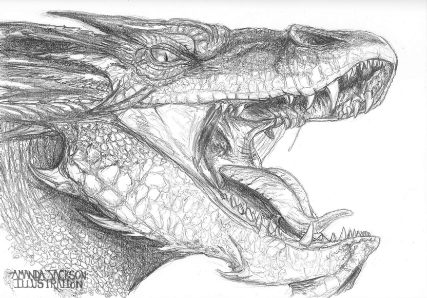 832x580 Smaug The Dragon By Amanda Jackson - Smaug Sketch