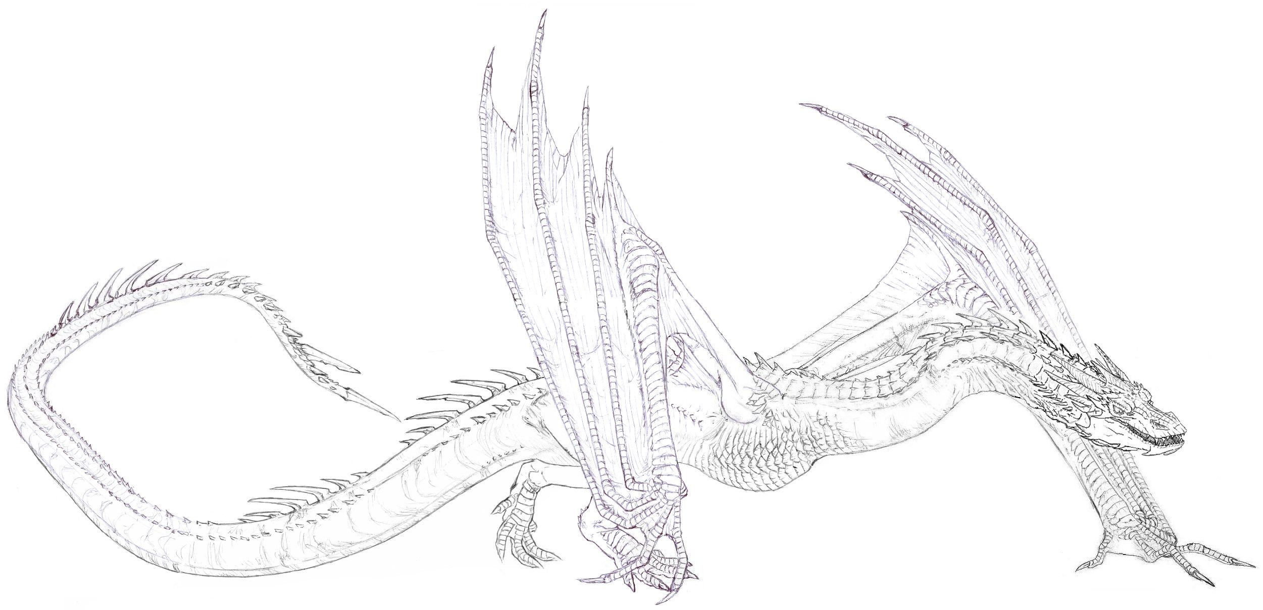 2501x1209 Smaug Drawing - Smaug Sketch