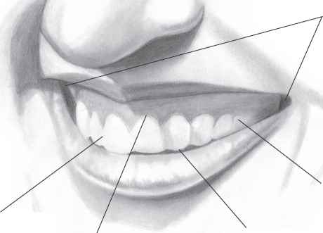 460x331 Ealing With Teeth - Smiling Face Sketch