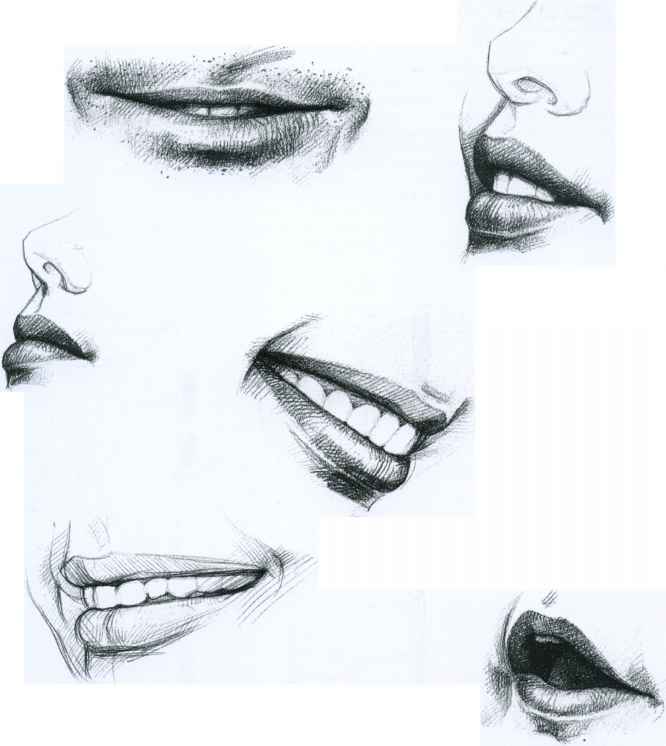 666x746 The Mouth - Smiling Lips Sketch