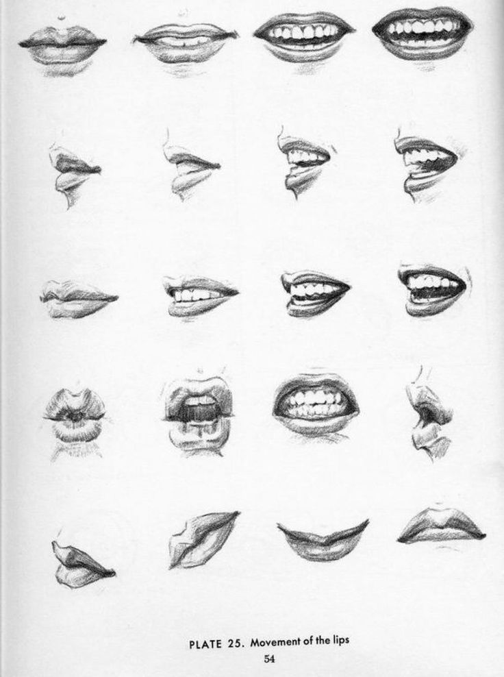 736x988 Drawing Mouth Different Angles - Smiling Mouth Sketch