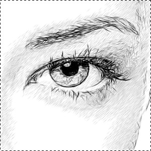 300x300 Using Smudging Technique On A Sketch - Smudge Sketch