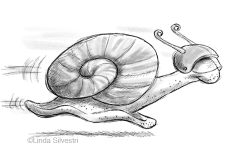 450x292 Snail Sketched Out - Snail Sketch