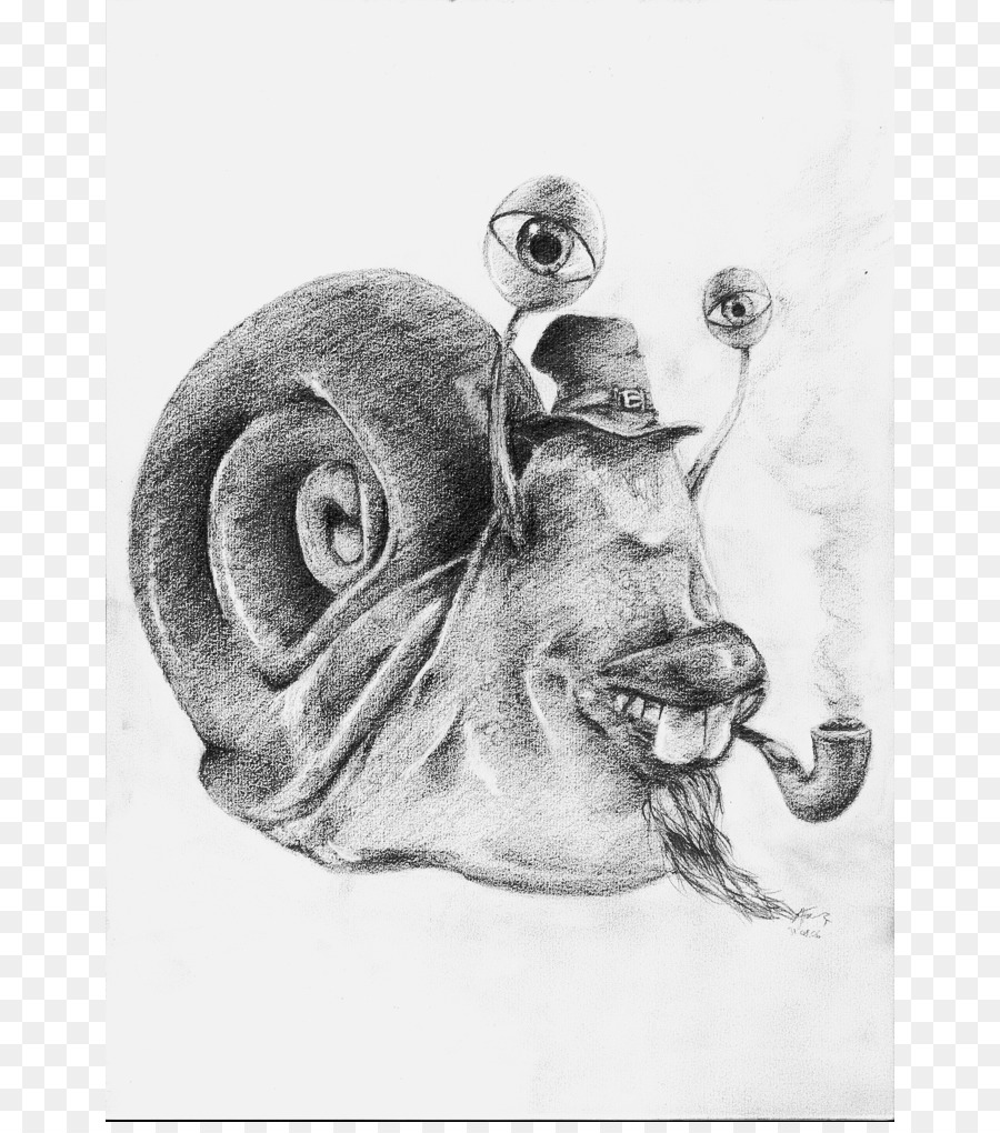 900x1020 Drawing Snail Sketch - Snail Sketch