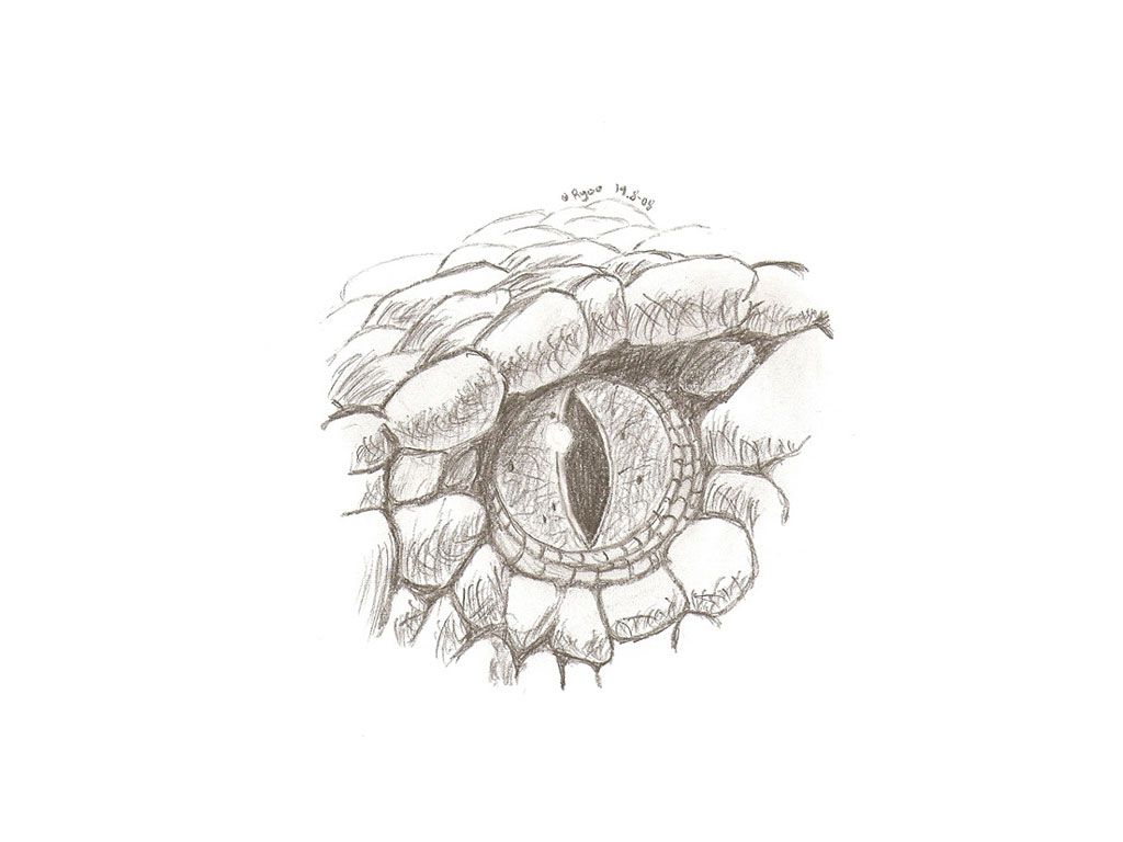 1024x768 Snake Eyes Tattoo Eyes Tattoos Designs Tattoos - Snake Eyes Sketch