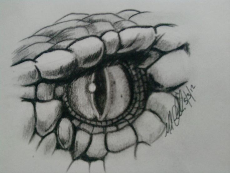 736x552 Snake Eye Drawing - Snake Eyes Sketch