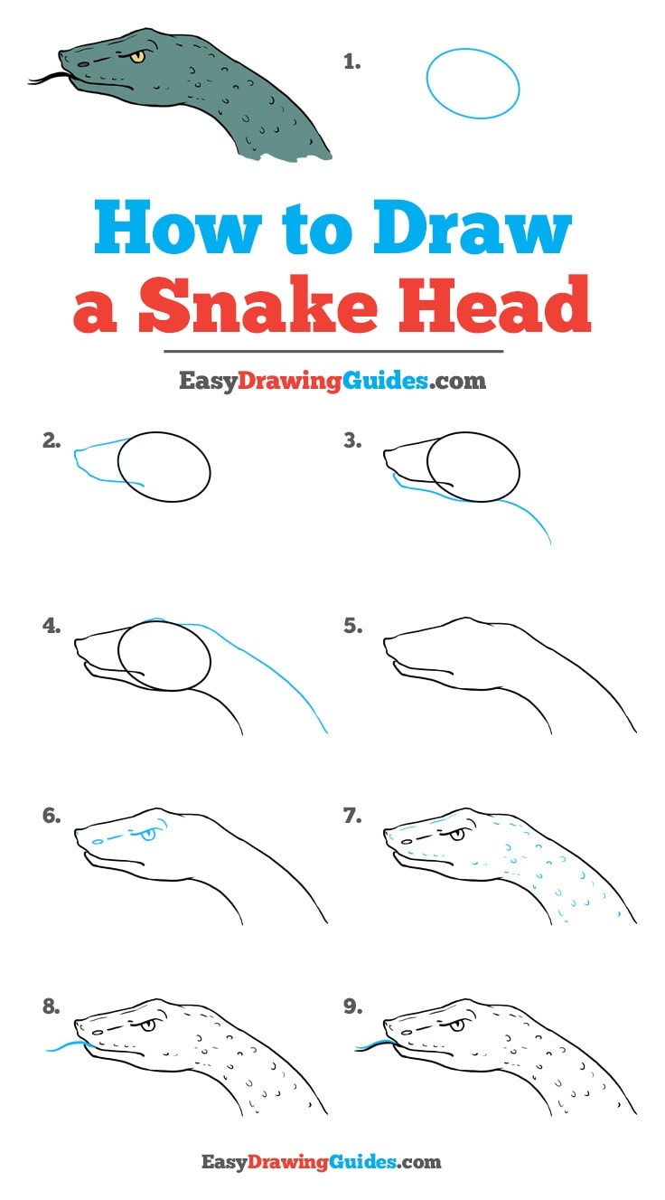 736x1327 How To Draw A Snake Head - Snake Head Sketch
