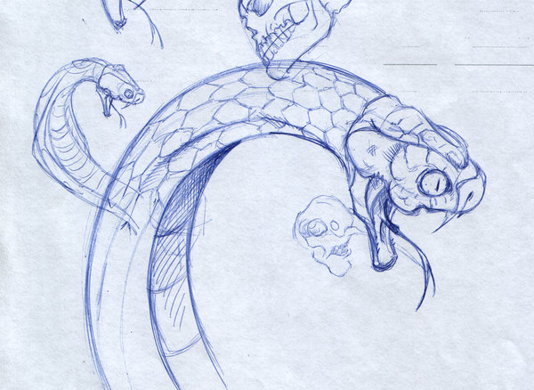 600x438 Snake Head Tattoo Sketch Tattoo Ideas - Snake Head Sketch